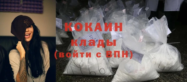 стаф Аркадак