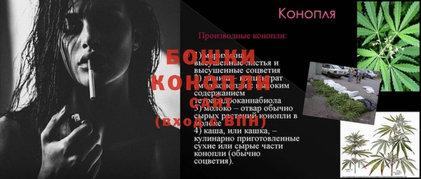 стаф Аркадак