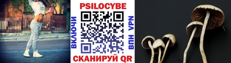 Галлюциногенные грибы Psilocybe Куйбышев