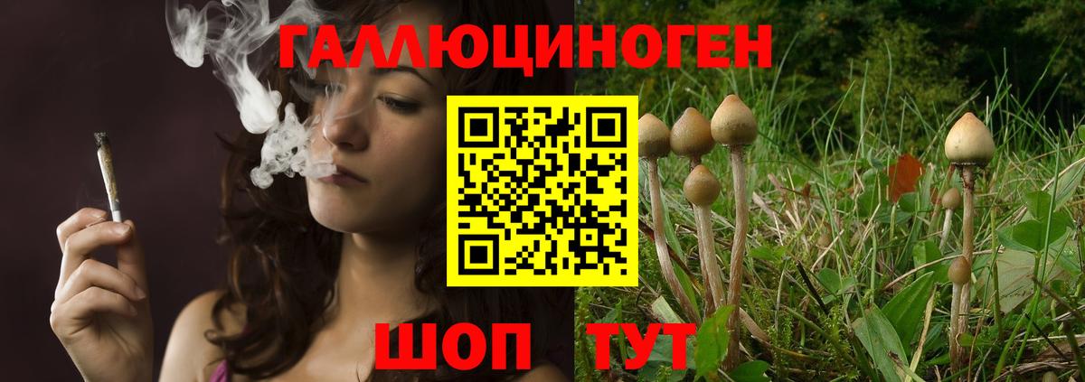 Галлюциногенные грибы GOLDEN TEACHER  Псилоцибиновые грибы прущие грибы  Вход с VPN  Куйбышев 