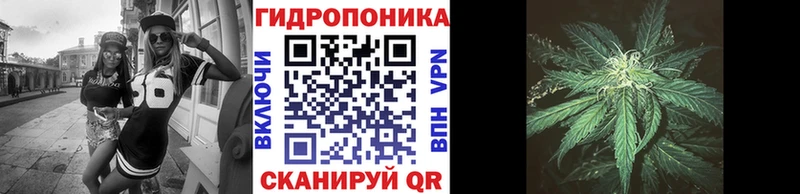 Бошки марихуана индика  наркошоп  Куйбышев 